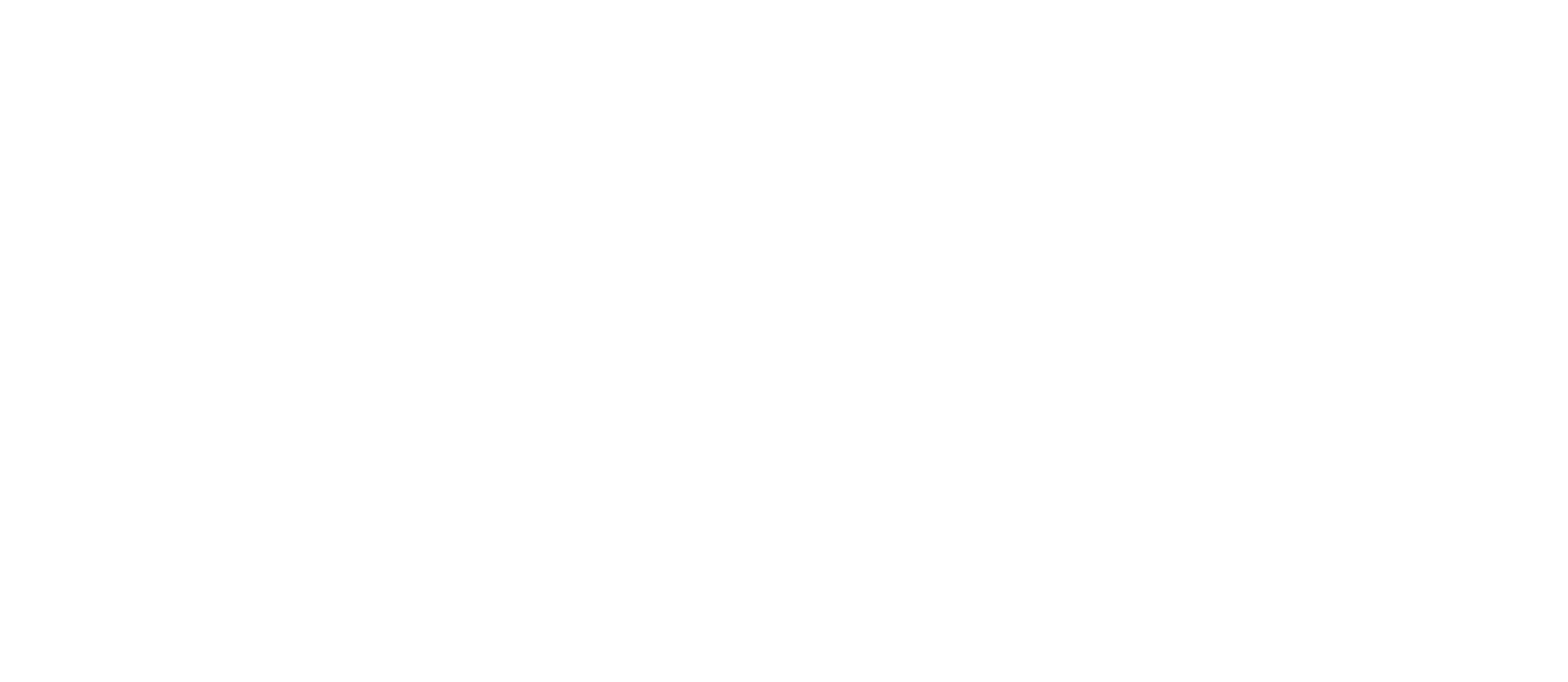 Logo-PIEBM_RGB_HOR_acronym narrow+2line_white achromatic copy