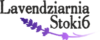 logo2 logo2