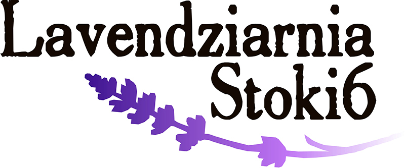 lavendziarnia stoki